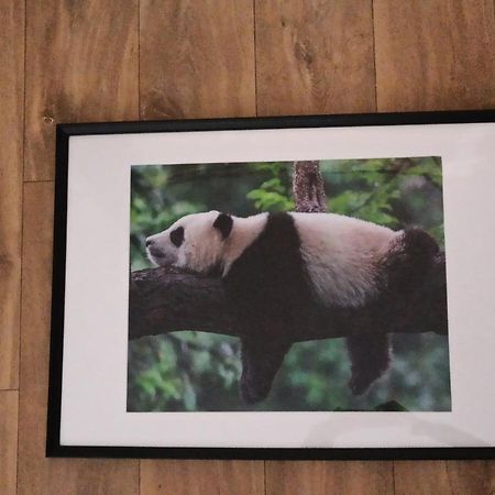 A 4 min du Zoo de Beauval La Maison à Partager Ch2 1er étage Saint-Aignan  Esterno foto