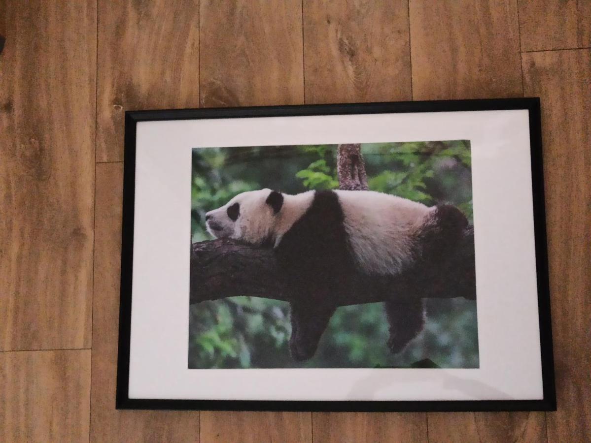 A 4 min du Zoo de Beauval La Maison à Partager Ch2 1er étage Saint-Aignan  Esterno foto