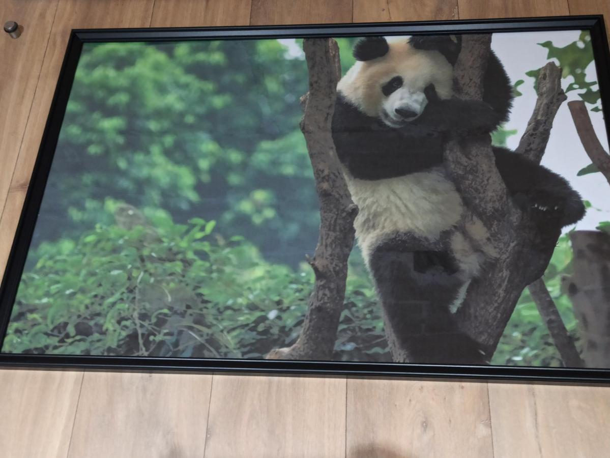 A 4 min du Zoo de Beauval La Maison à Partager Ch2 1er étage Saint-Aignan  Esterno foto